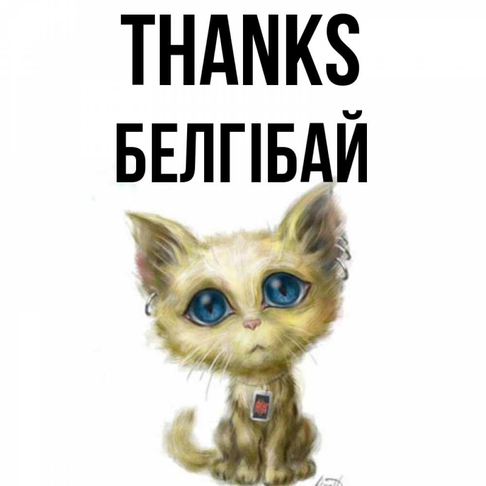 Greetings card с именем, Белгібай Thanks рисованный кот благодарит вас Greetings with text for free download 