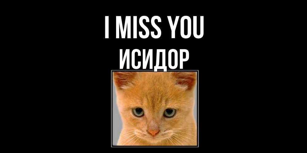 Greetings card с именем, Исидор I miss you открытки рыжий котенок скучает по тебе Greetings with text for free download 