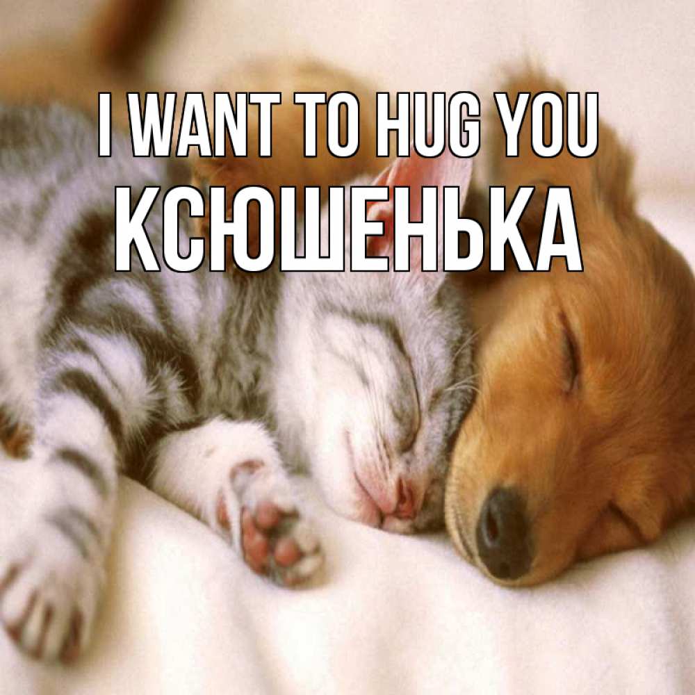 Greetings card с именем, Ксюшенька I want to hug you пес и котенок Greetings with text for free download 