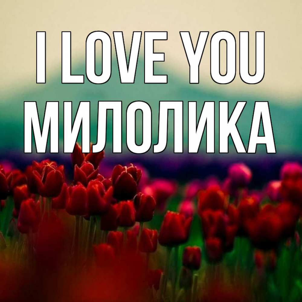 Greetings card с именем, Милолика I love you тюльпаны 4 Greetings with text for free download 