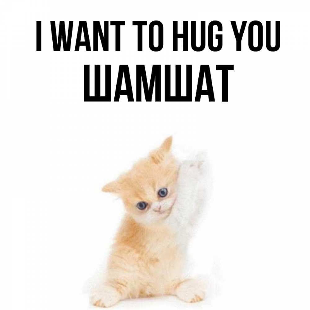 Greetings card с именем, ШАМШАТ I want to hug you я хочу очень скорее обнимаешек Greetings with text for free download 