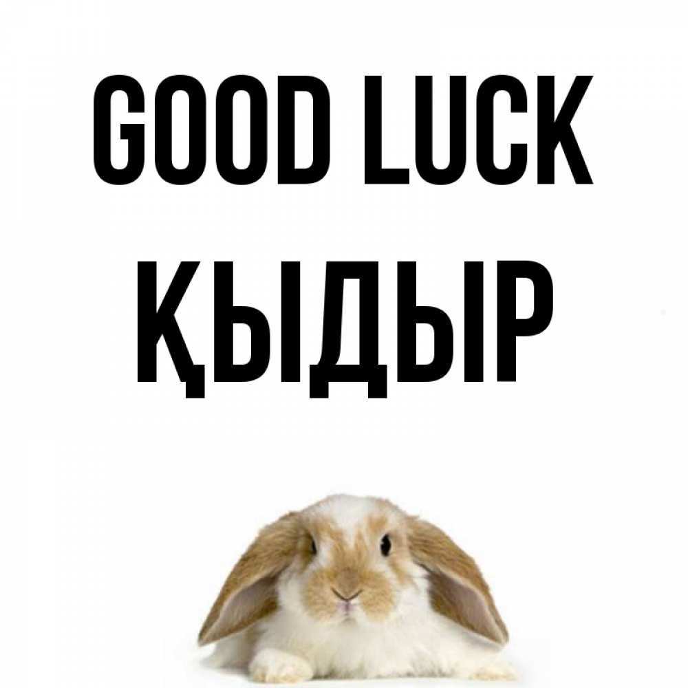 Greetings card с именем, ҚЫДЫР Good luck открытки с произвольным текстом который можно вставить в открытку и создать ее самостоятельно бесплатно онлайн Greetings with text for free download 