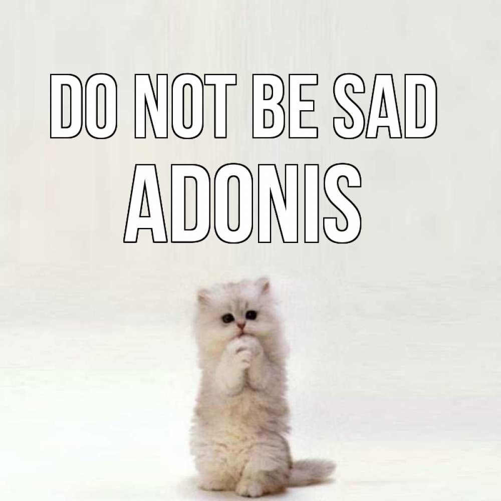 Greetings card с именем, Adonis Do not be sad грустный кот Greetings with text for free download 