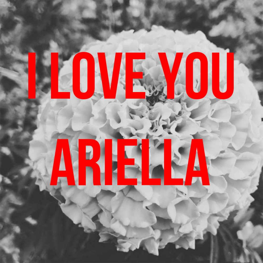 Greetings card с именем, Ariella I love you подпись Greetings with text for free download 