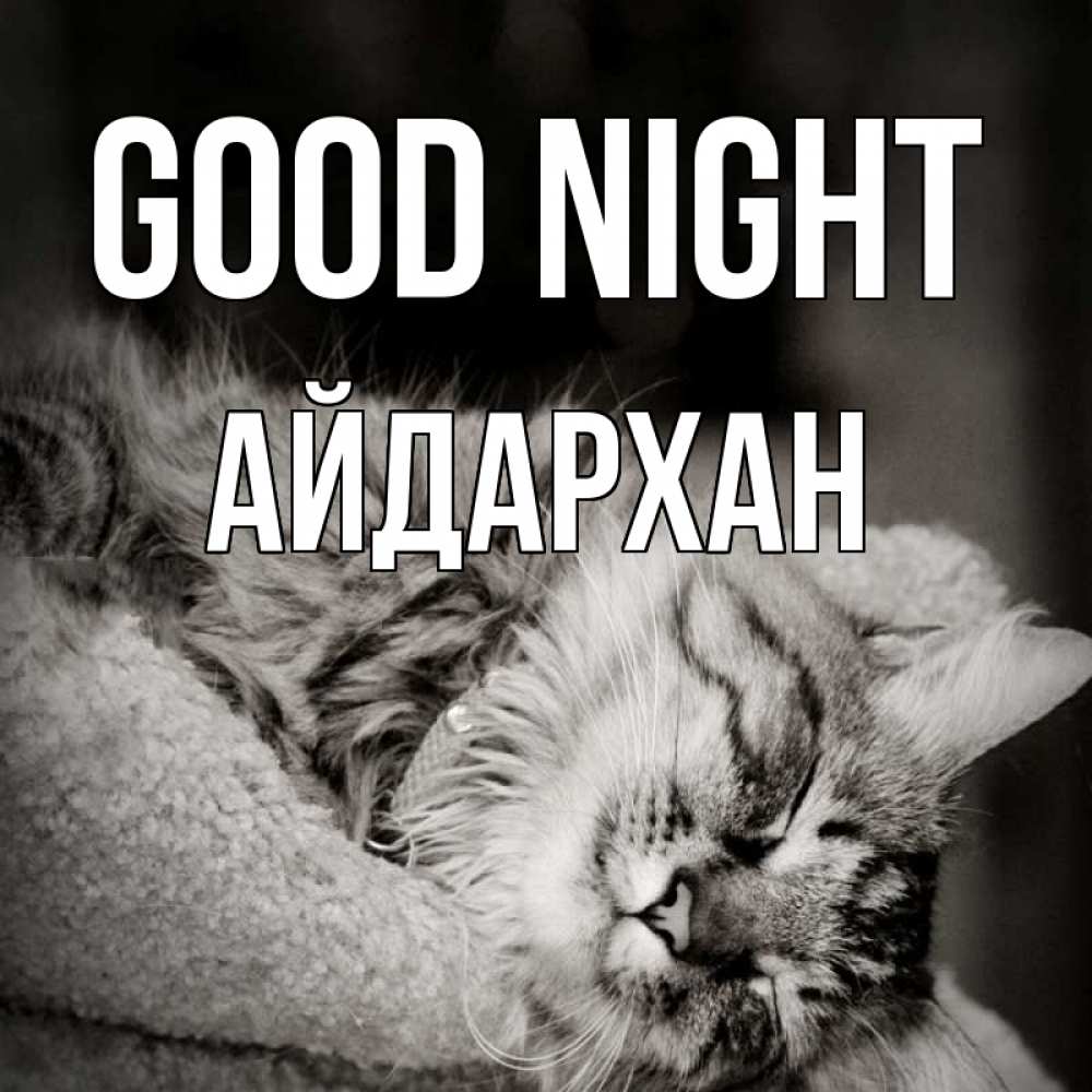 Greetings card с именем, Айдархан Good night котярик пушистый Greetings with text for free download 