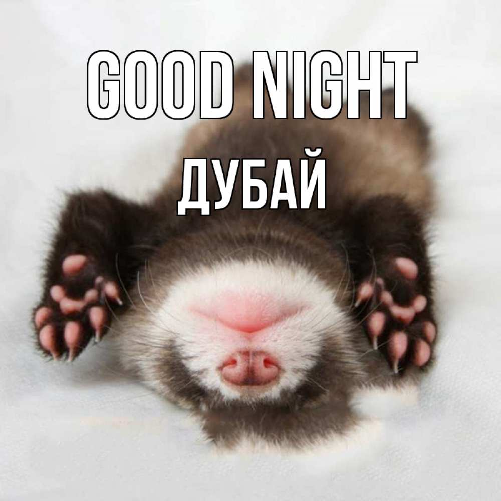 Greetings card с именем, Дубай Good night зверек Greetings with text for free download 