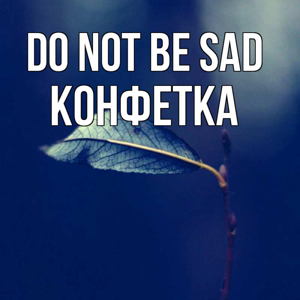 Greetings card с именем, Конфетка Do not be sad растение Greetings with text for free download 