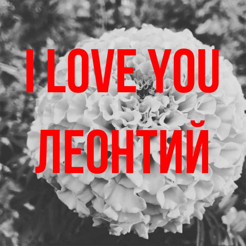 Greetings card с именем, Леонтий I love you подпись Greetings with text for free download 