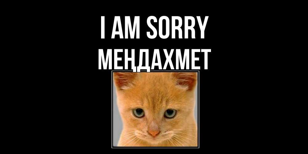 Greetings card с именем, МЕҢДАХМЕТ I am sorry рыжий грустный кот просит прощения Greetings with text for free download 