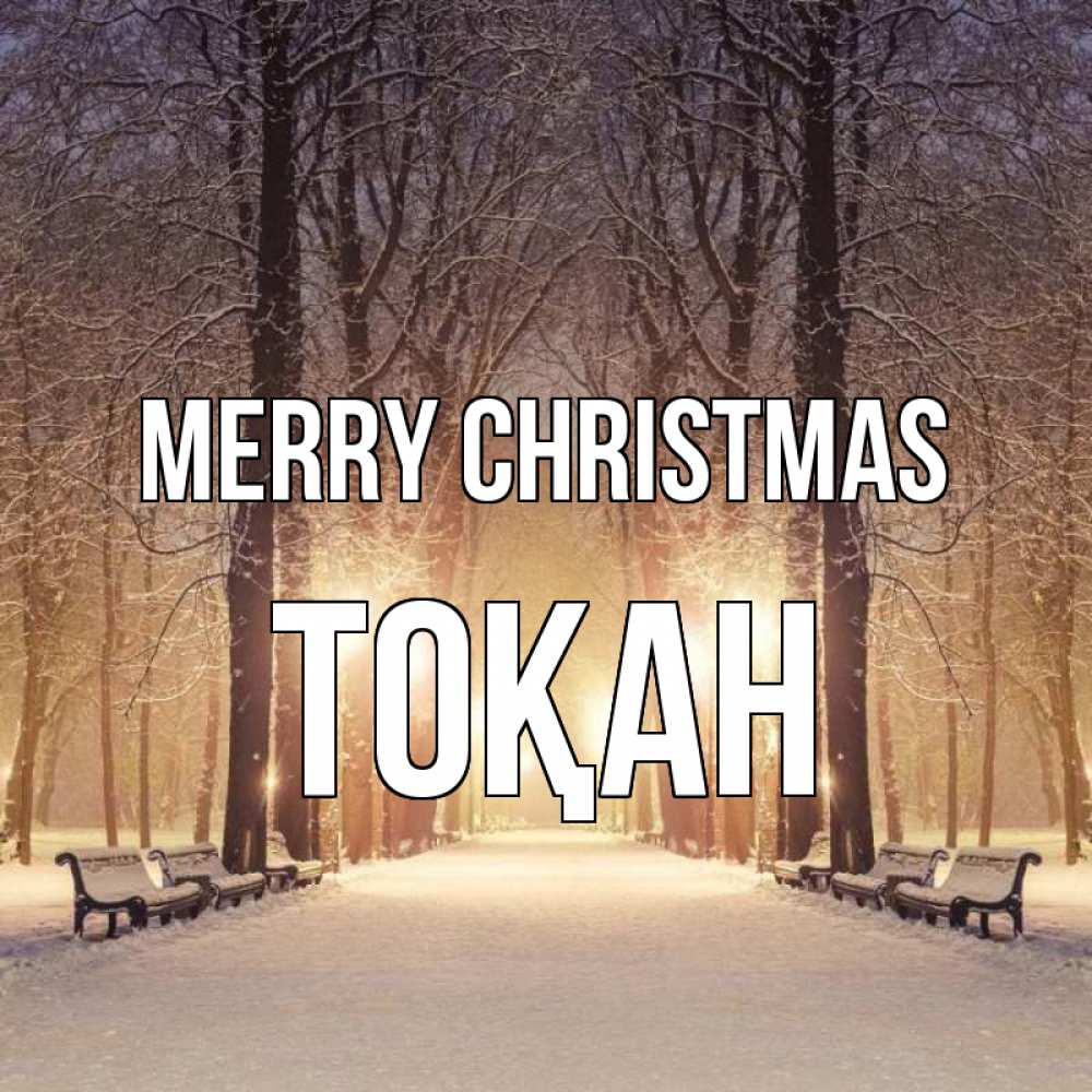 Greetings card с именем, ТОҚАН Merry Christmas зима, парк, фонарь, лес Greetings with text for free download 
