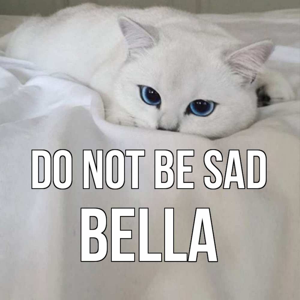 Greetings card с именем, Bella Do not be sad белый кот с голубыми глазами на белоснежной кровати Greetings with text for free download 