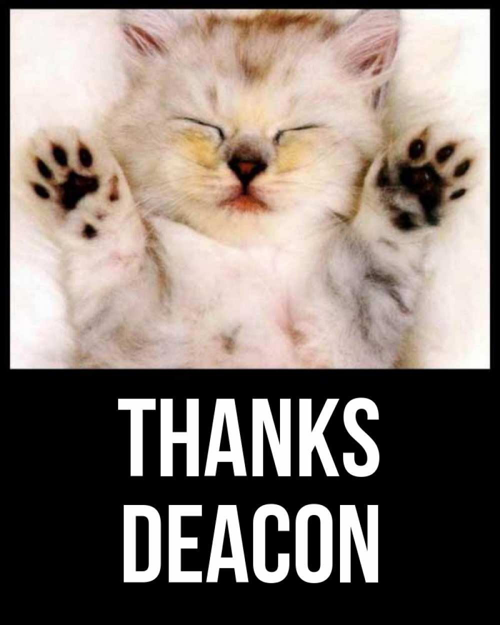 Greetings card с именем, Deacon Thanks маленький котенок Greetings with text for free download 