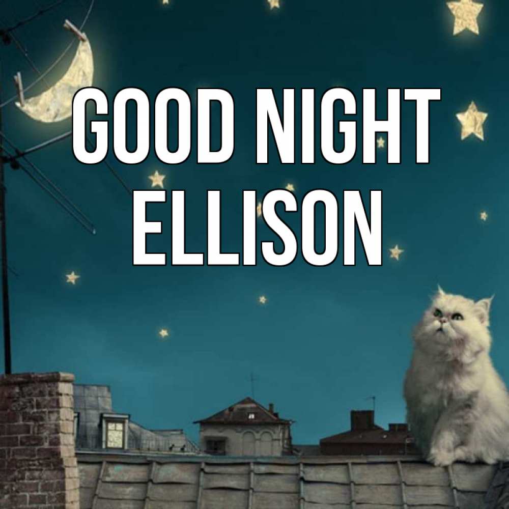 Greetings card с именем, Ellison Good night белый кот сидит на крыше Greetings with text for free download 