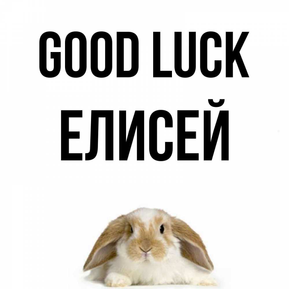 Greetings card с именем, Елисей Good luck открытки с произвольным текстом который можно вставить в открытку и создать ее самостоятельно бесплатно онлайн Greetings with text for free download 