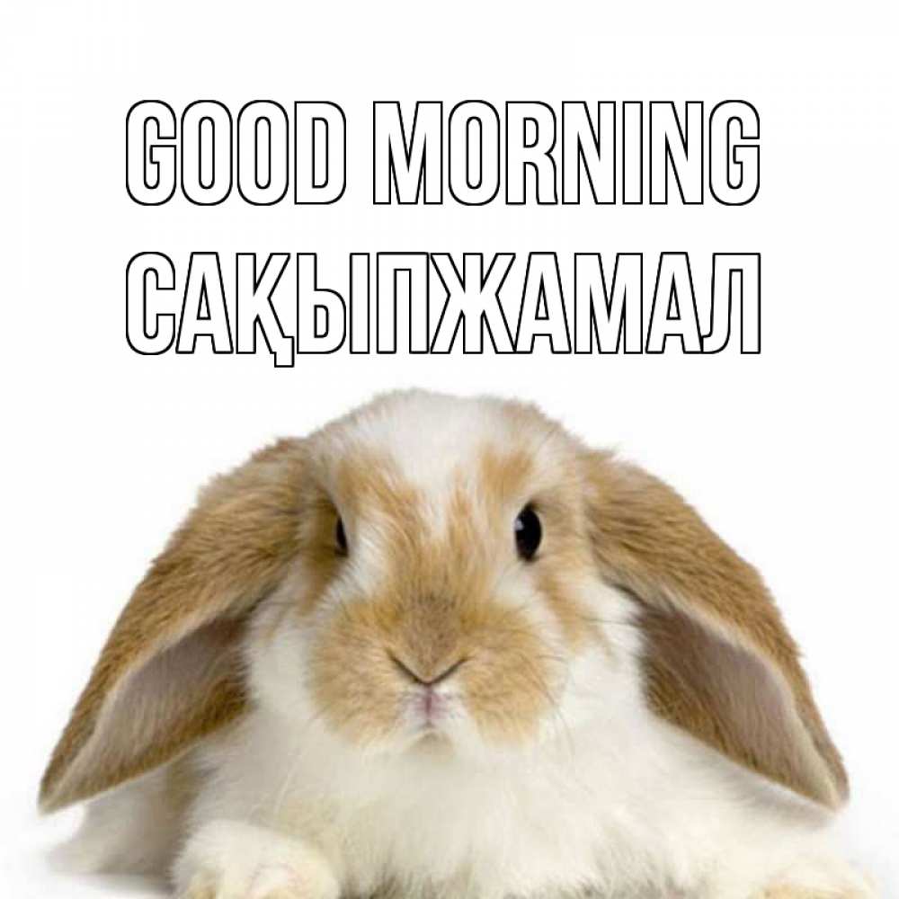 Greetings card с именем, САҚЫПЖАМАЛ Good morning прикольные открытки на каждый день Greetings with text for free download 