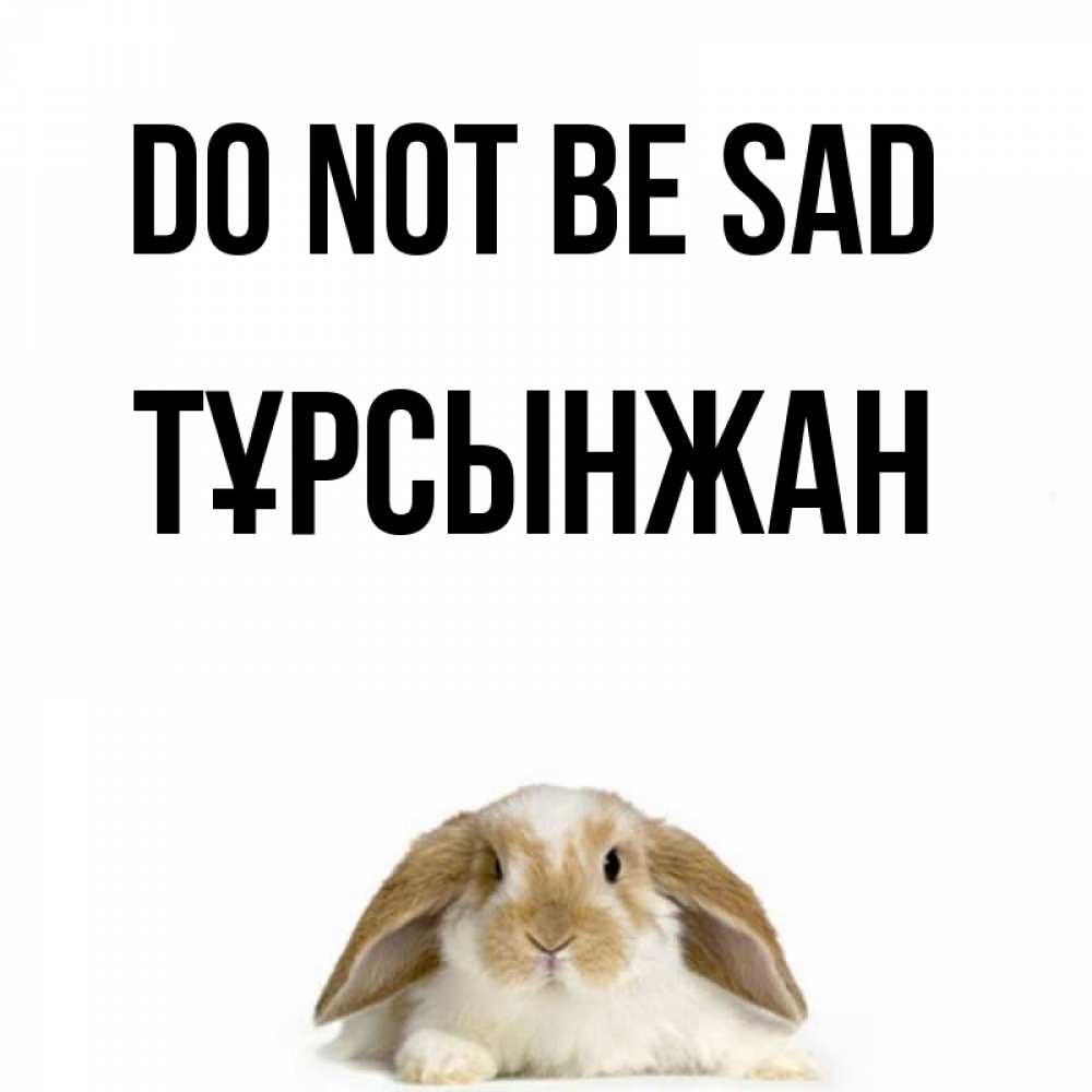 Greetings card с именем, ТҰРСЫНЖАН Do not be sad коричнево белый заяц с большими ушками Greetings with text for free download 