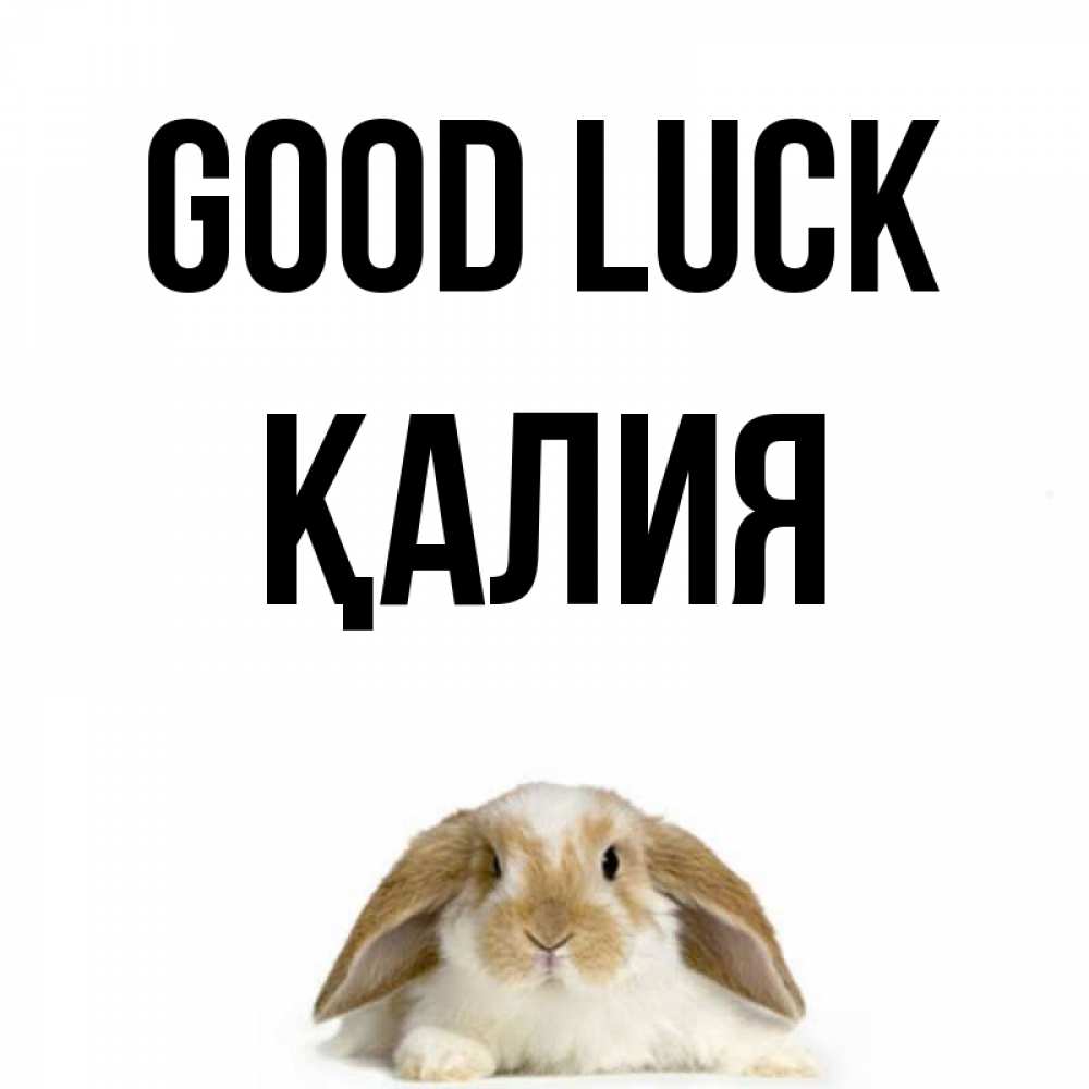 Greetings card с именем, ҚАЛИЯ Good luck открытки с произвольным текстом который можно вставить в открытку и создать ее самостоятельно бесплатно онлайн Greetings with text for free download 