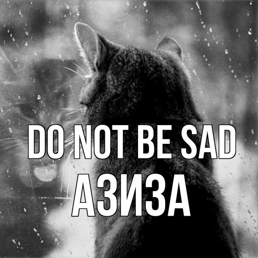 Greetings card с именем, Азиза Do not be sad отражение кота 1 Greetings with text for free download 