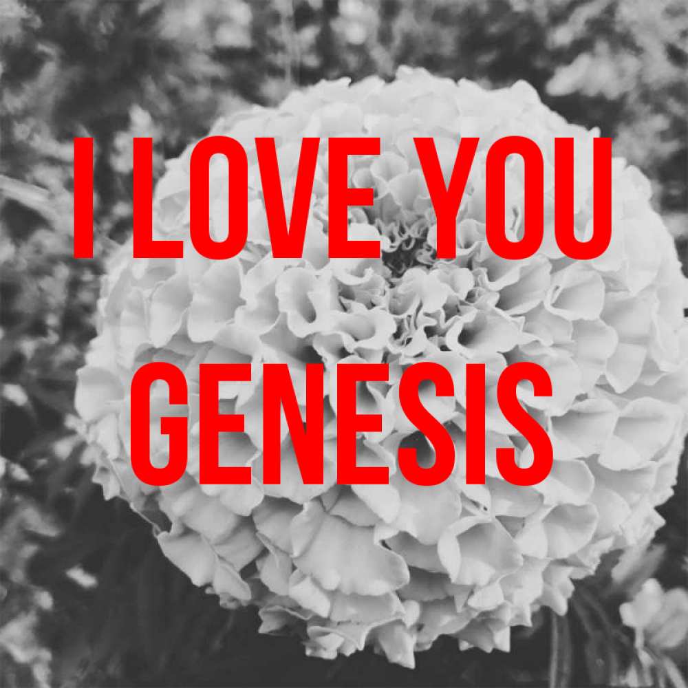 Greetings card с именем, Genesis I love you подпись Greetings with text for free download 