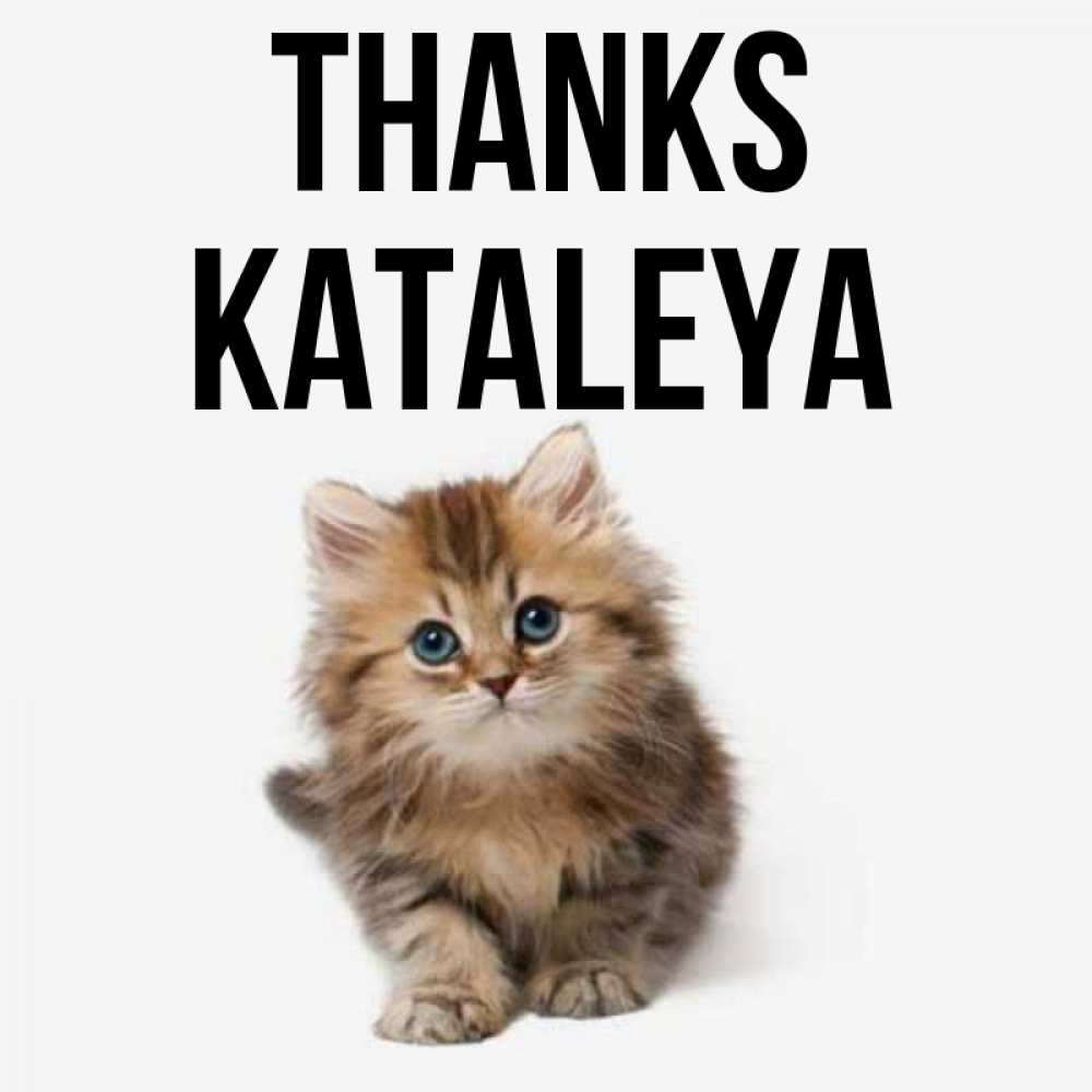Greetings card с именем, Kataleya Thanks пушистый котик Greetings with text for free download 