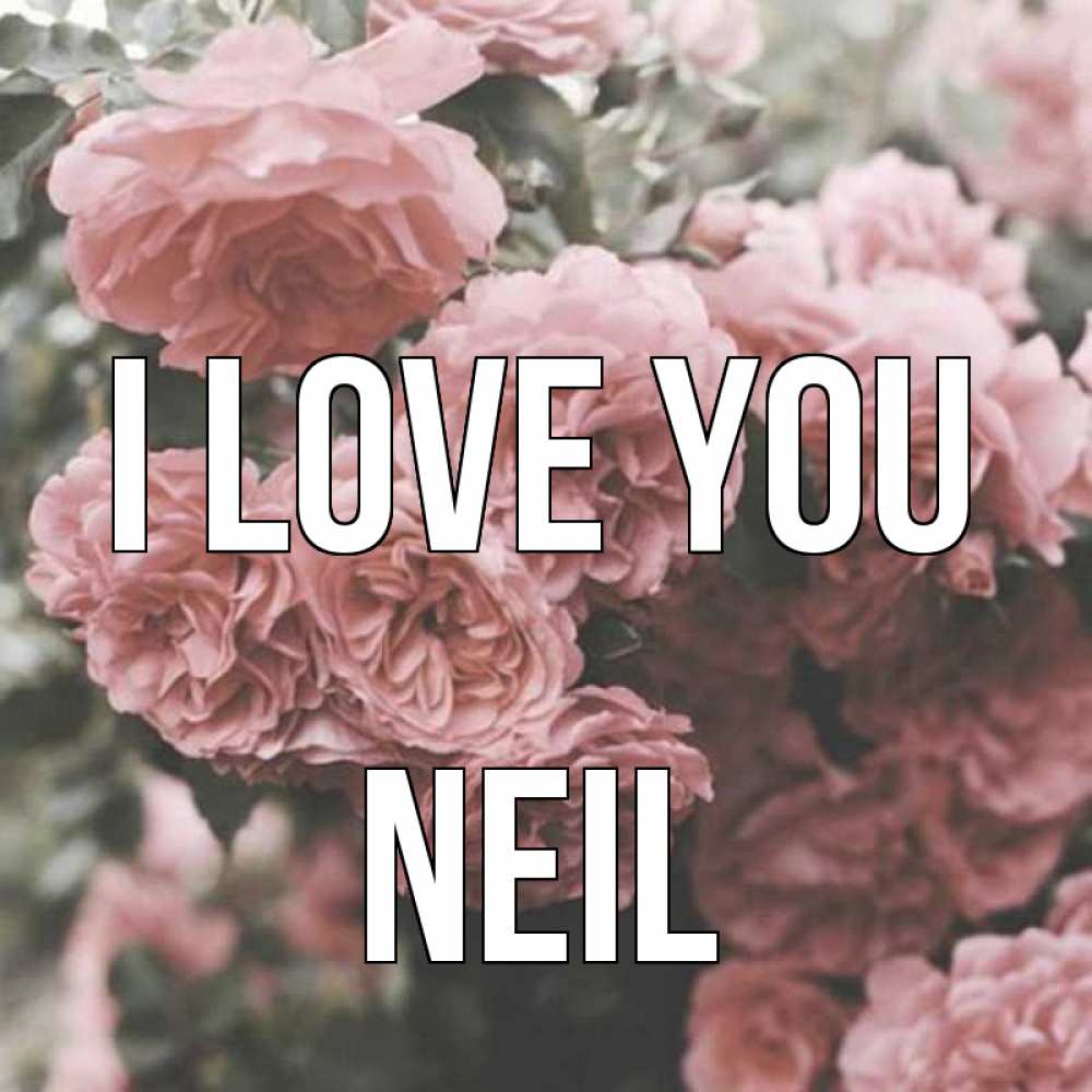 Greetings card с именем, Neil I love you розы 3 Greetings with text for free download 