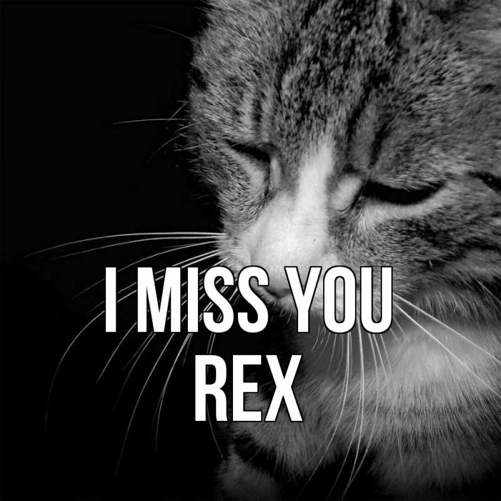 Greetings card с именем, Rex I miss you мне скучно Greetings with text for free download 