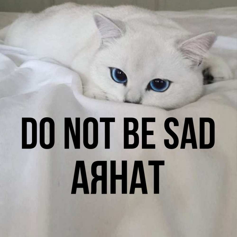 Greetings card с именем, АЯНАТ Do not be sad Голубоглазая кошка Greetings with text for free download 