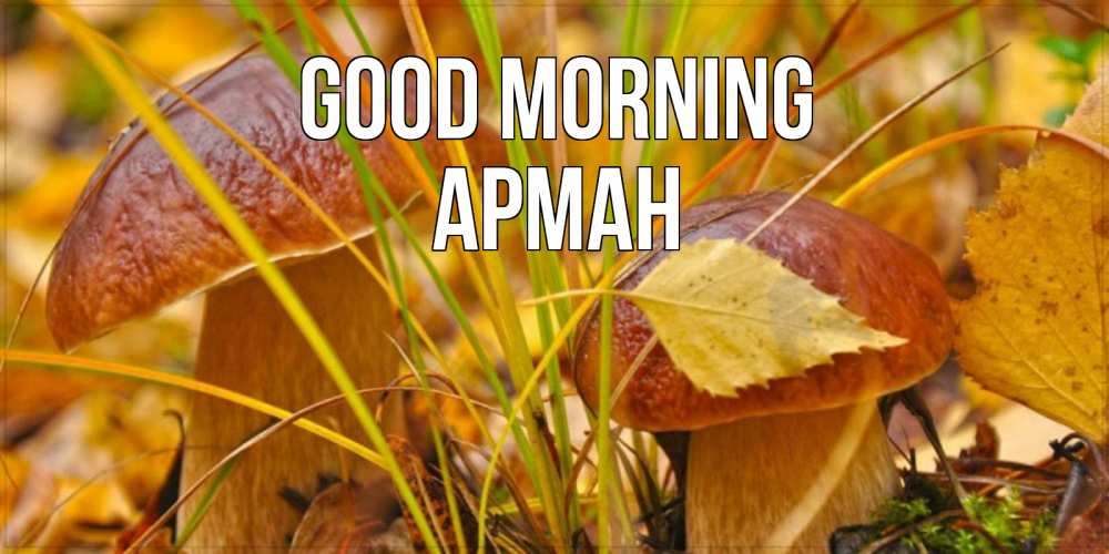 Greetings card с именем, Арман Good morning осенние грибы Greetings with text for free download 