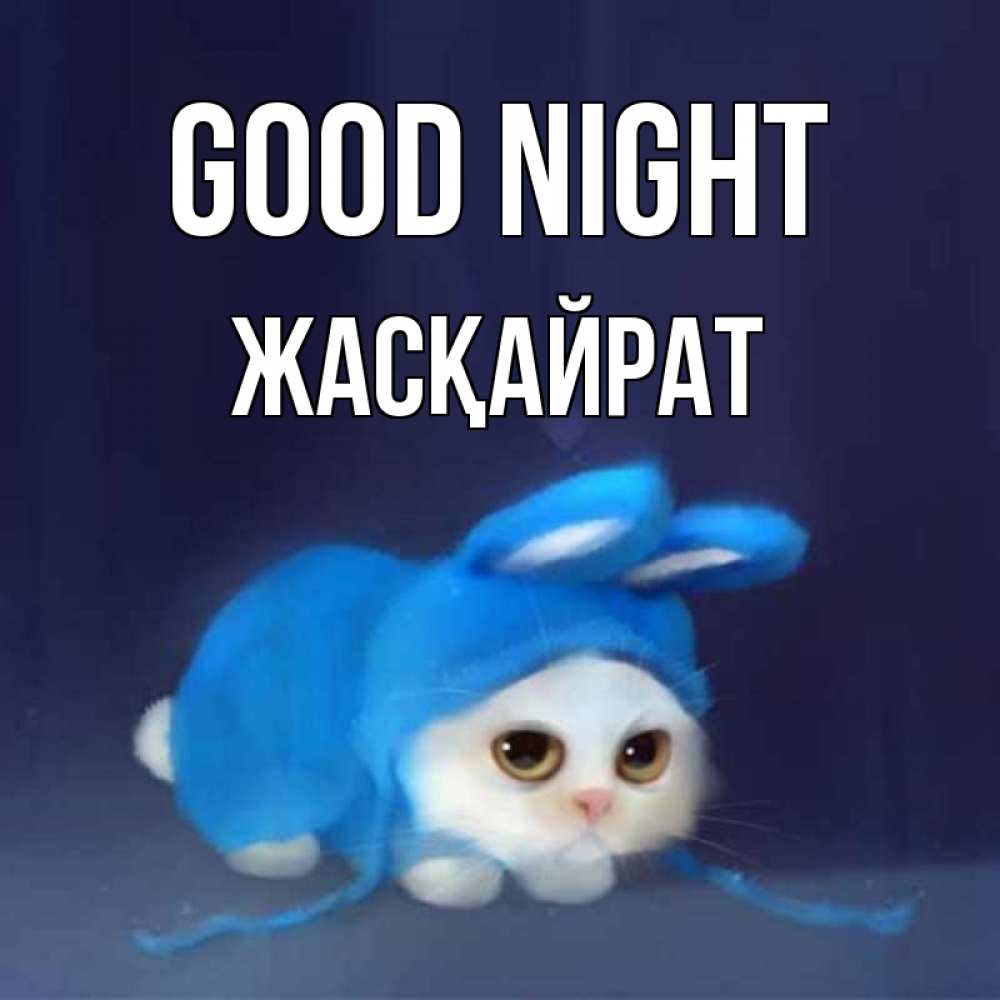 Greetings card с именем, Жасқайрат Good night кот в голубом костюме кролика с ушками Greetings with text for free download 
