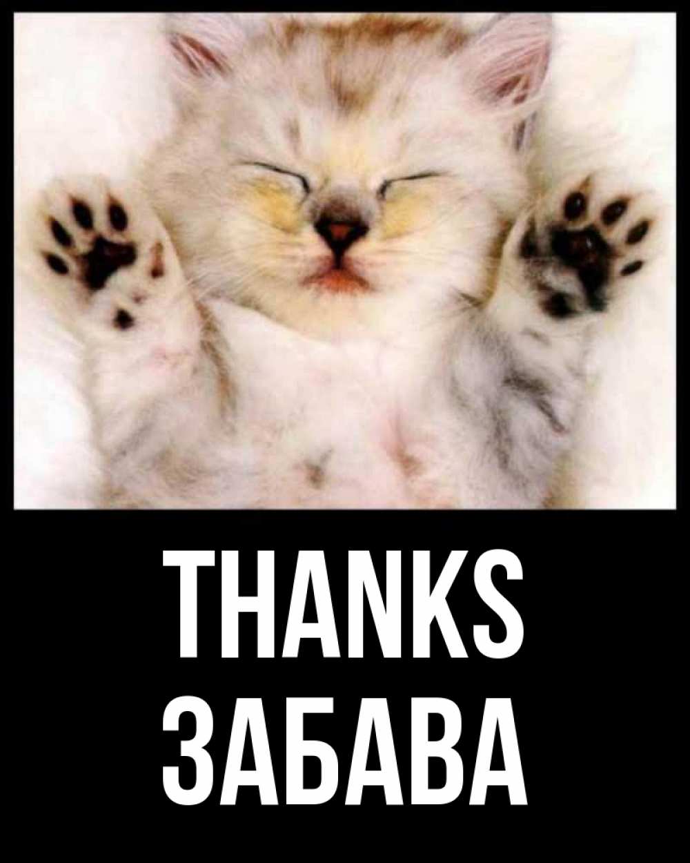 Greetings card с именем, Забава Thanks маленький котенок Greetings with text for free download 