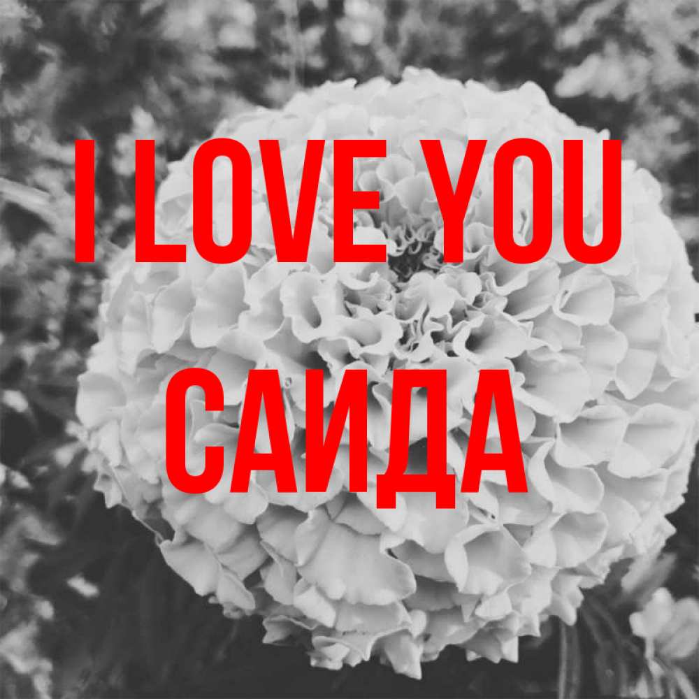 Greetings card с именем, Саида I love you подпись Greetings with text for free download 