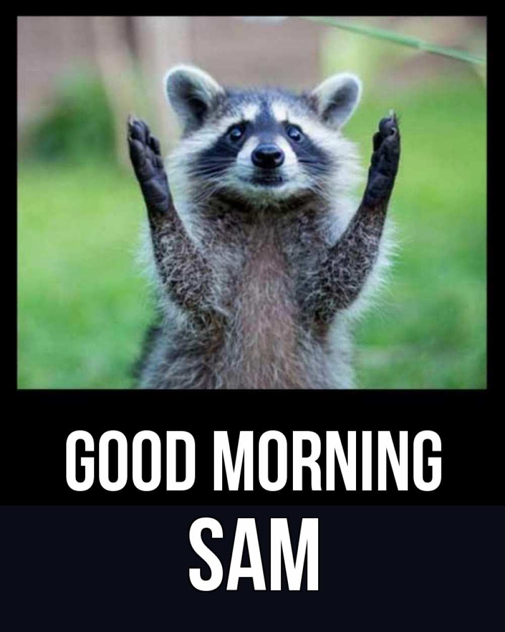 Greetings card с именем, Sam Good morning хорошее настроение утречком Greetings with text for free download 