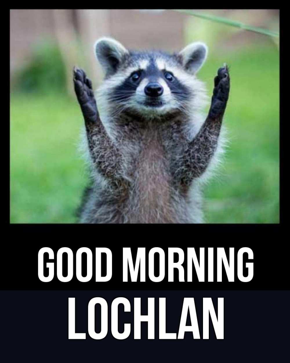 Greetings card с именем, Lochlan Good morning хорошее настроение утречком Greetings with text for free download 