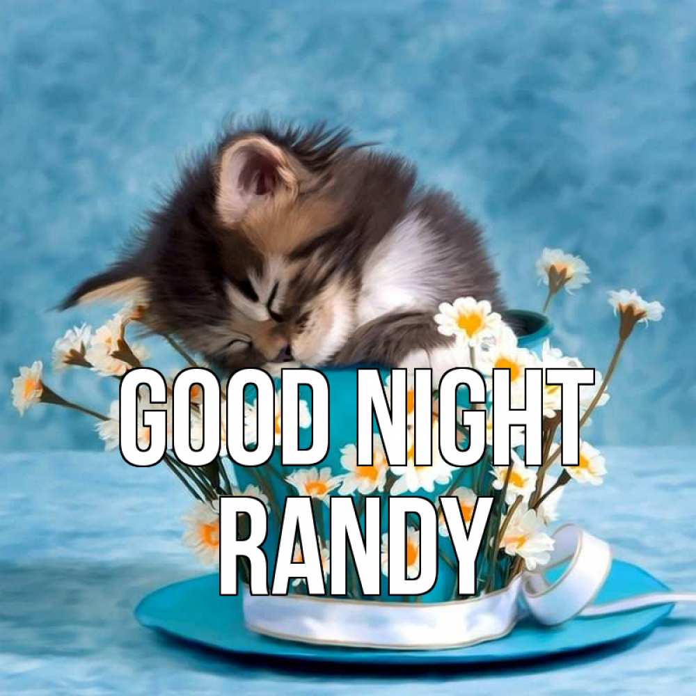 Greetings card с именем, Randy Good night котенок спит в кружке с блюдцем Greetings with text for free download 