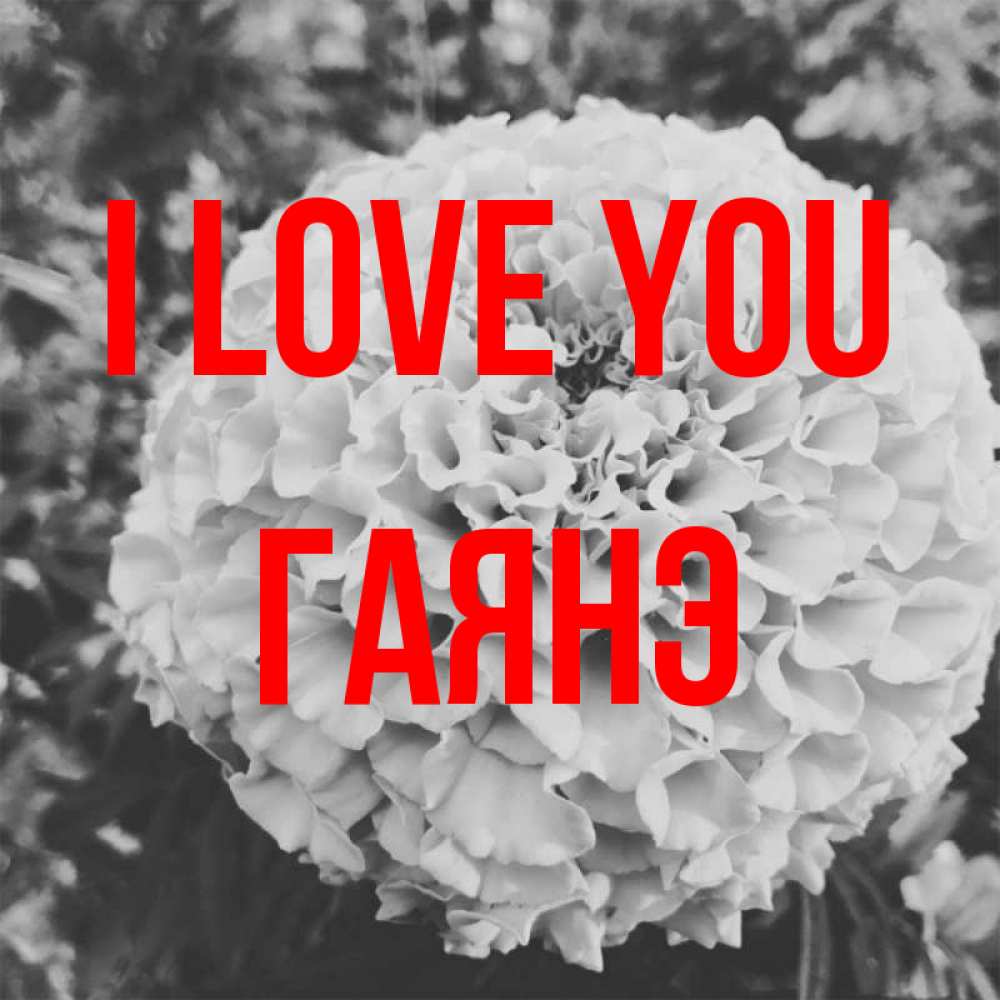 Greetings card с именем, Гаянэ I love you подпись Greetings with text for free download 