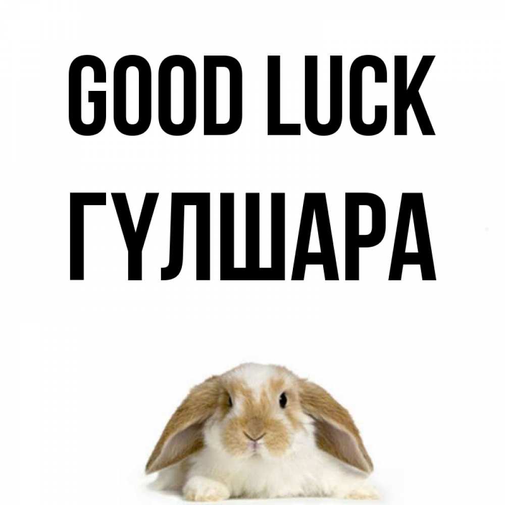Greetings card с именем, ГҮЛШАРА Good luck открытки с произвольным текстом который можно вставить в открытку и создать ее самостоятельно бесплатно онлайн Greetings with text for free download 