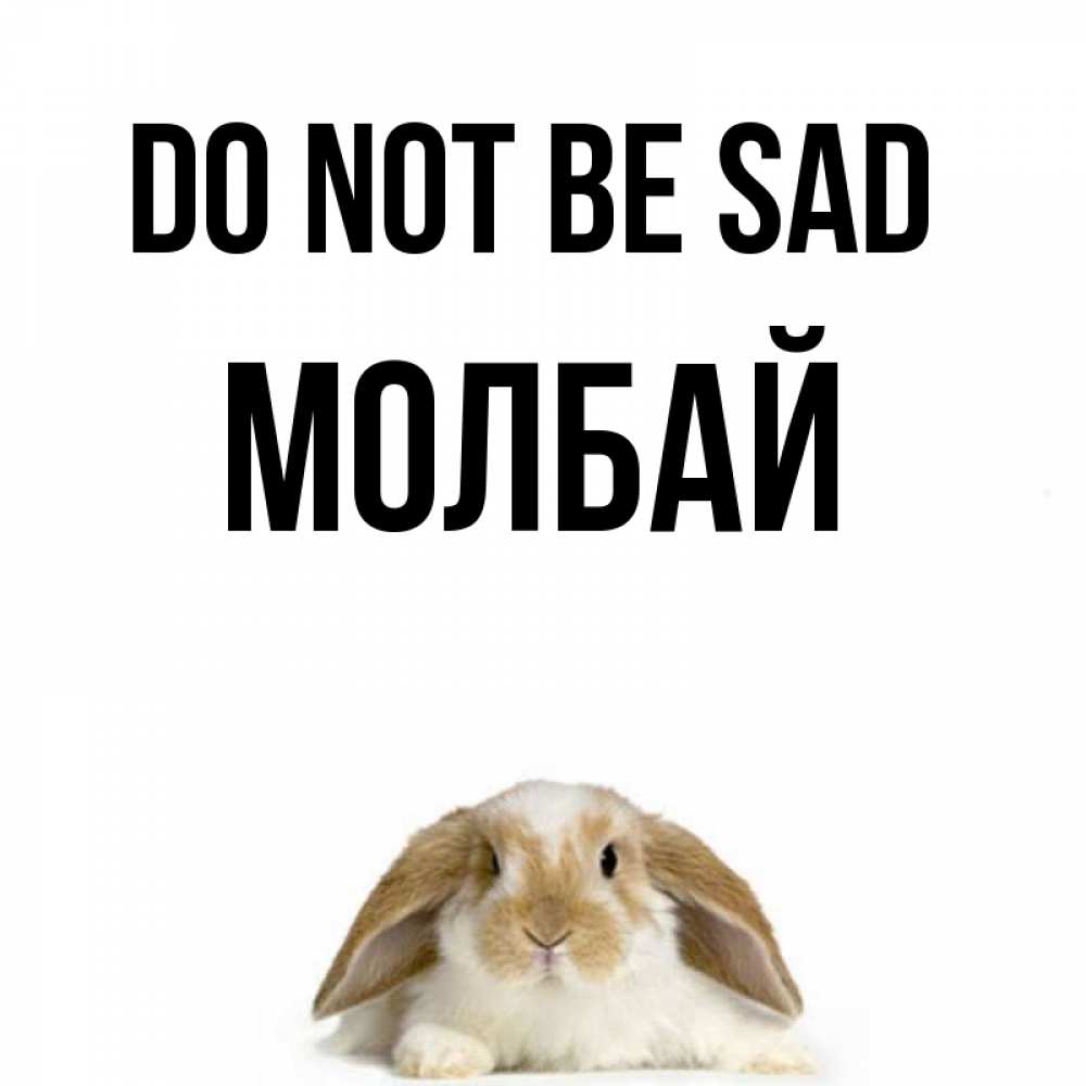 Greetings card с именем, МОЛБАЙ Do not be sad коричнево белый заяц с большими ушками Greetings with text for free download 