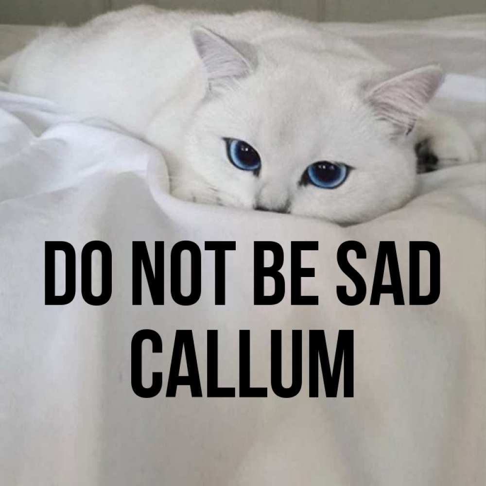 Greetings card с именем, Callum Do not be sad Голубоглазая кошка Greetings with text for free download 