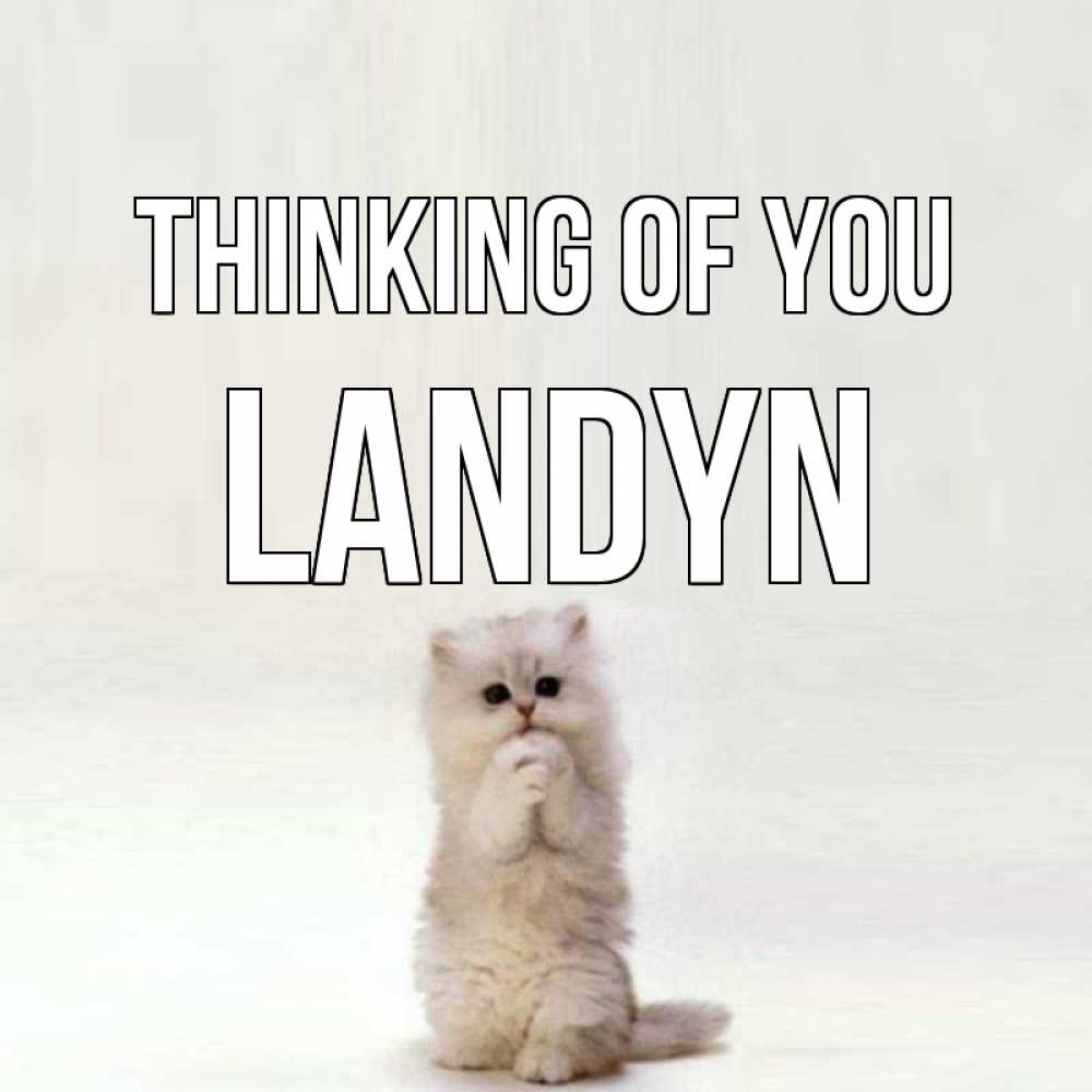 Greetings card с именем, Landyn Thinking of you кот стоит на задних лапах Greetings with text for free download 