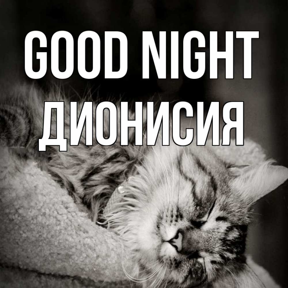 Greetings card с именем, Дионисия Good night котярик пушистый Greetings with text for free download 