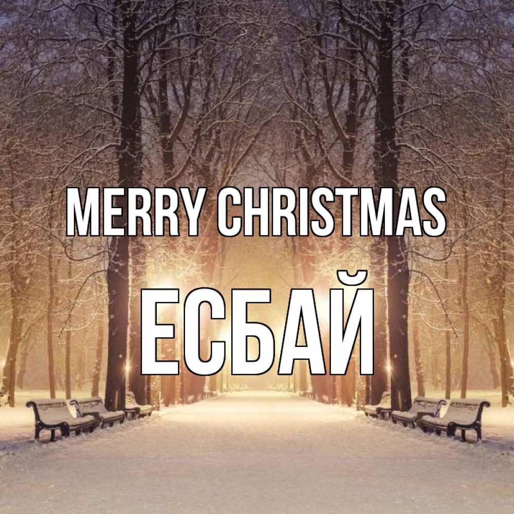 Greetings card с именем, Есбай Merry Christmas зима, парк, фонарь, лес Greetings with text for free download 