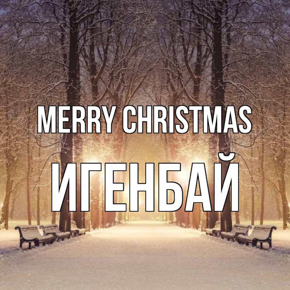 Greetings card с именем, Игенбай Merry Christmas зима, парк, фонарь, лес Greetings with text for free download 