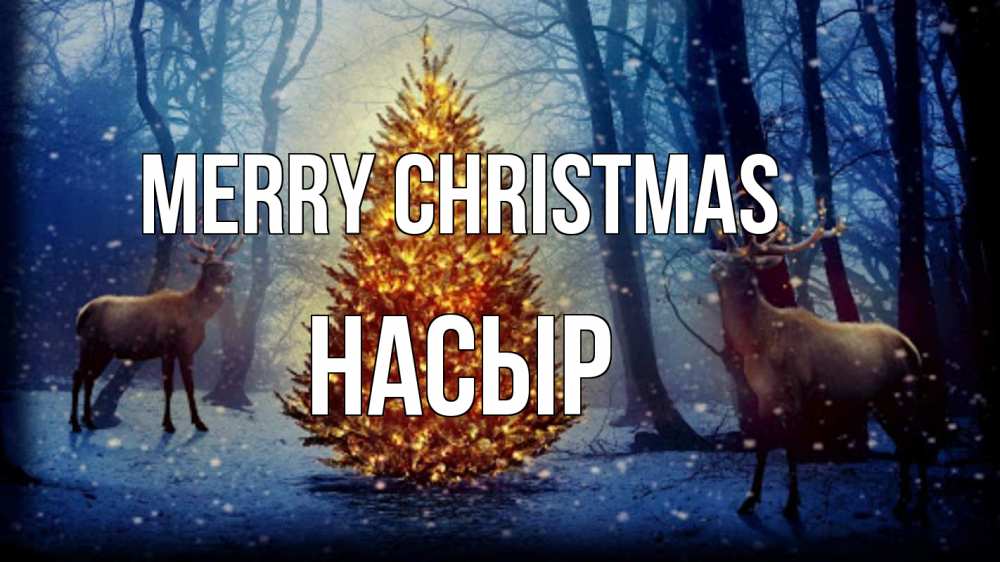 Greetings card с именем, НАСЫР Merry Christmas олени, новогодняя елка Greetings with text for free download 