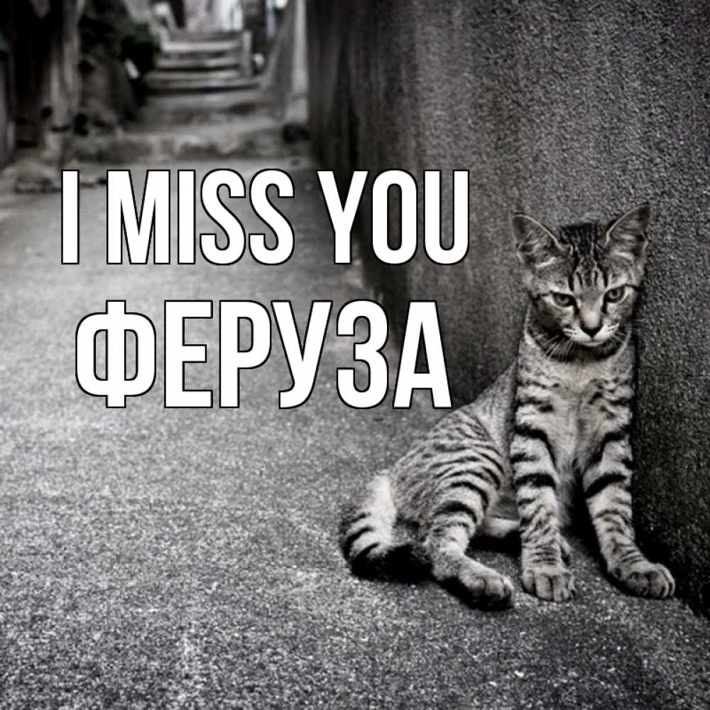Greetings card с именем, Феруза I miss you одиноко котику Greetings with text for free download 