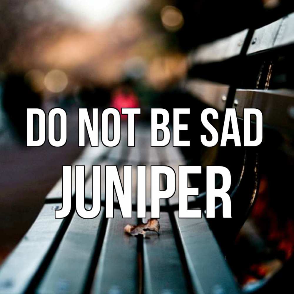 Greetings card с именем, Juniper Do not be sad размытый фон Greetings with text for free download 