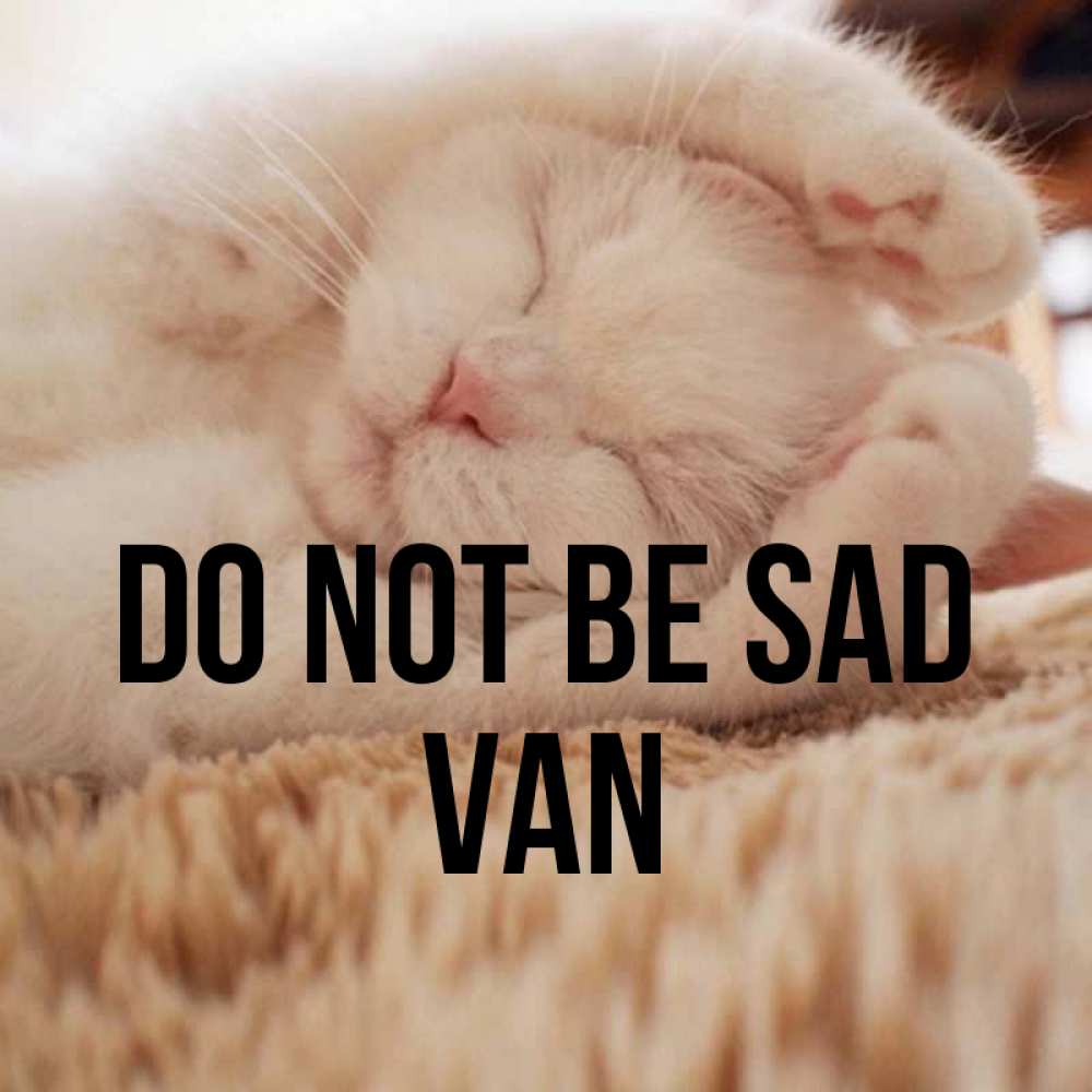 Greetings card с именем, Van Do not be sad Котенок спит Greetings with text for free download 