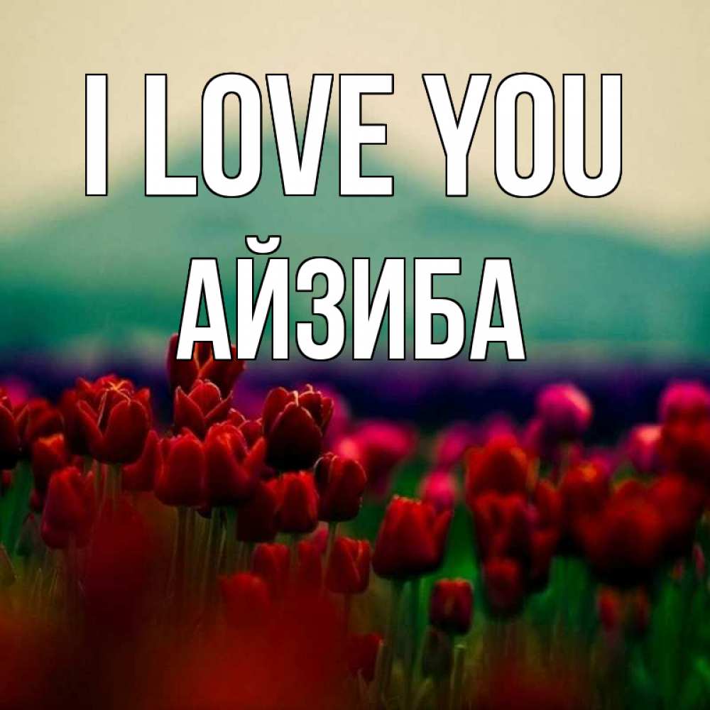 Greetings card с именем, АЙЗИБА I love you тюльпаны 4 Greetings with text for free download 