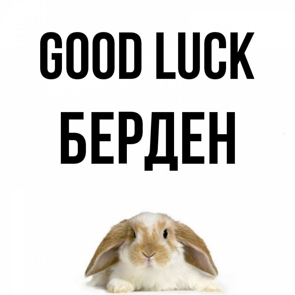Greetings card с именем, Берден Good luck открытки с произвольным текстом который можно вставить в открытку и создать ее самостоятельно бесплатно онлайн Greetings with text for free download 