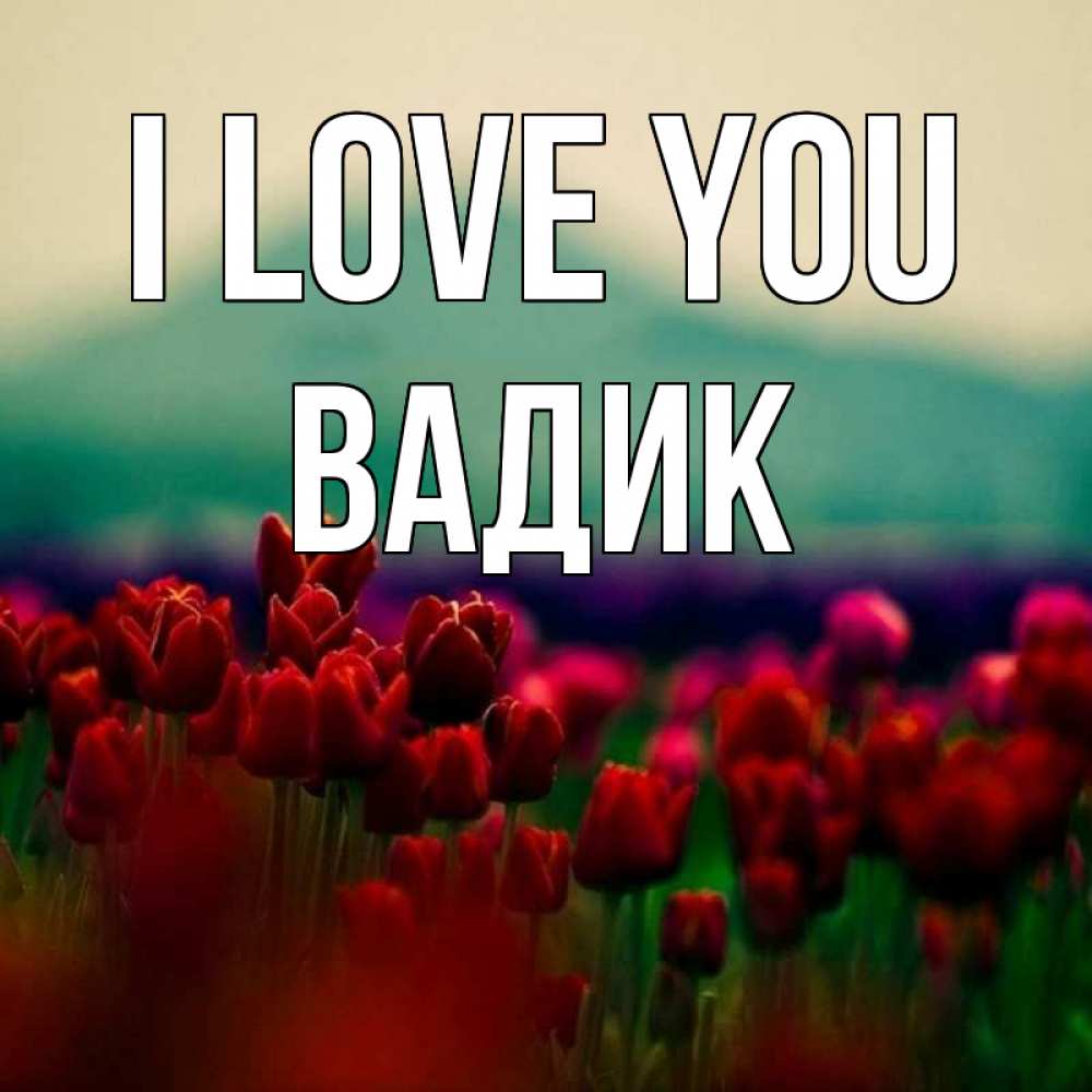 Greetings card с именем, Вадик I love you тюльпаны 4 Greetings with text for free download 