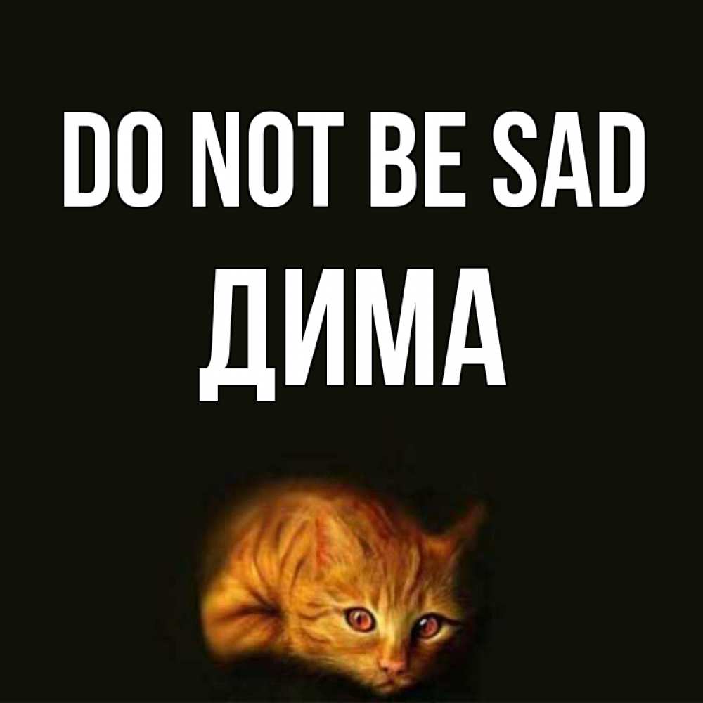 Greetings card с именем, Дима Do not be sad лежащий кот в темноте Greetings with text for free download 